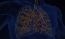 respiratory 